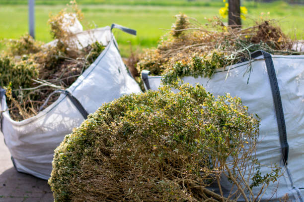Best Professional Junk Removal  in Black Forest, CO
