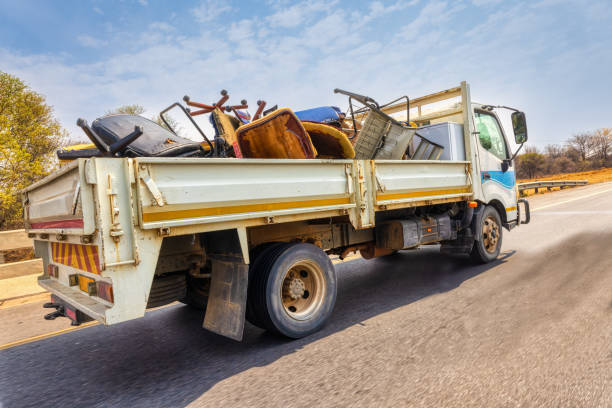 Yard Cleanup Services in Black Forest, CO